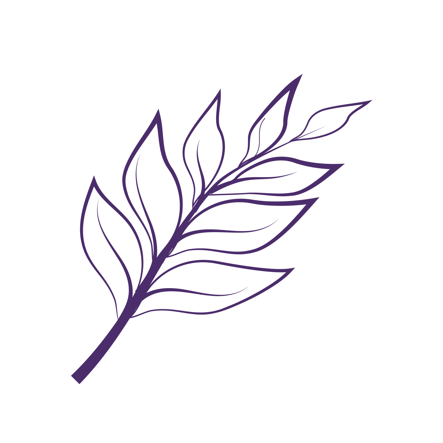 naturel-violette-berlingot