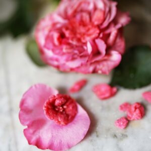 Roses d'amour - fleurs naturelles